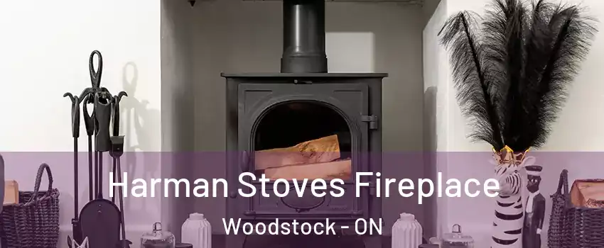  Harman Stoves Fireplace Woodstock - ON