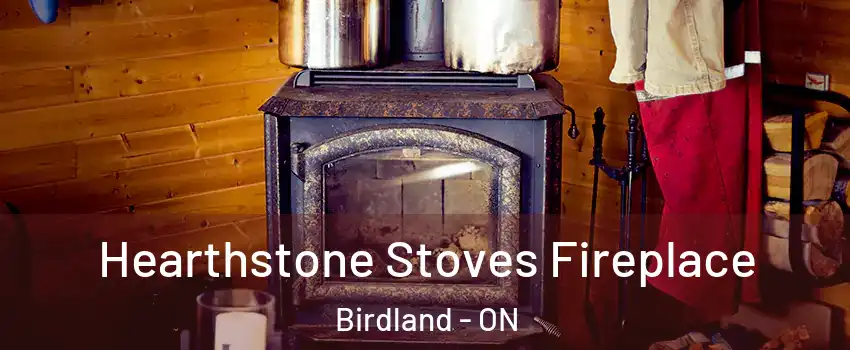 Hearthstone Stoves Fireplace Birdland - ON