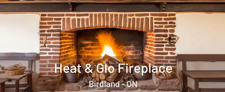  Heat & Glo Fireplace Birdland - ON