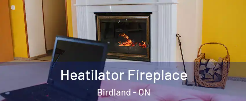 Heatilator Fireplace Birdland - ON