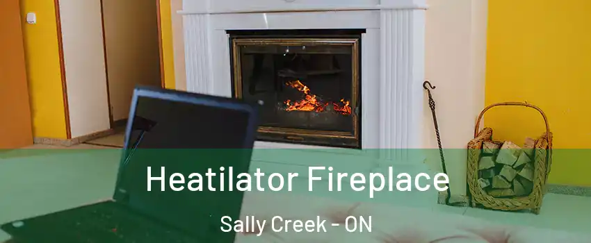  Heatilator Fireplace Sally Creek - ON