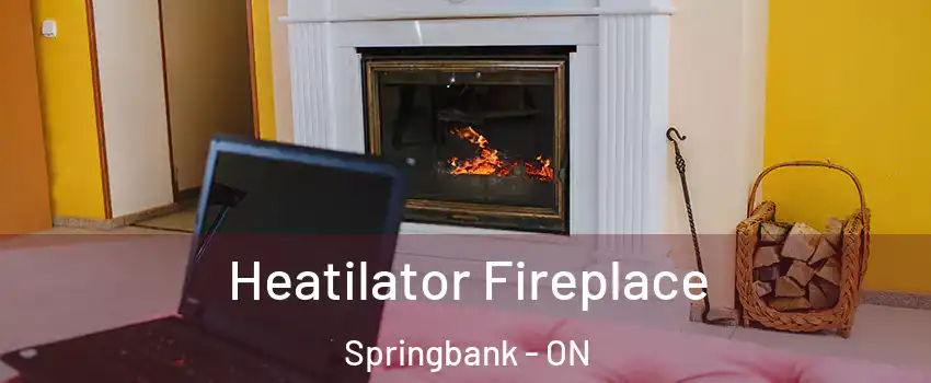  Heatilator Fireplace Springbank - ON