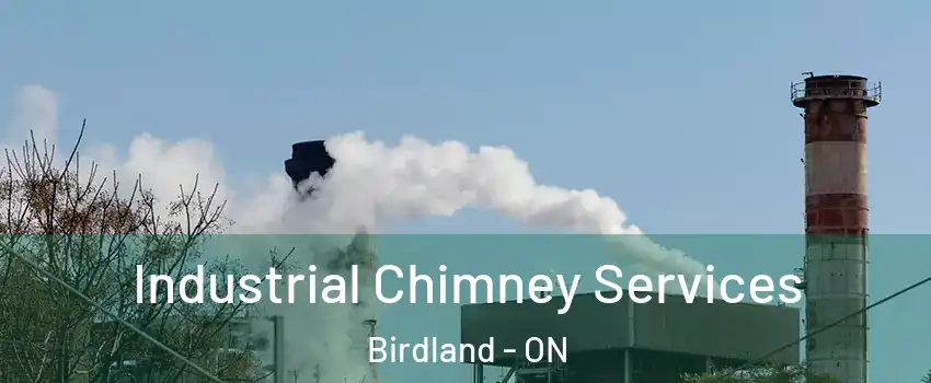  Industrial Chimney Services Birdland - ON