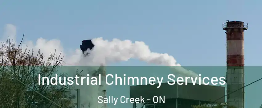  Industrial Chimney Services Sally Creek - ON