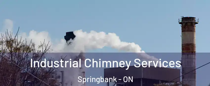  Industrial Chimney Services Springbank - ON