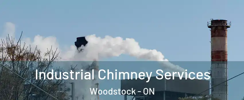  Industrial Chimney Services Woodstock - ON