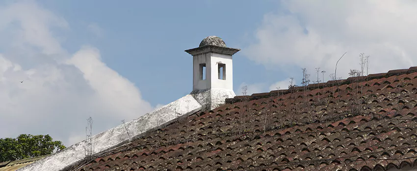Wind-Resistant Chimney Caps Installation and Repair Services in Woodstock, Ontario