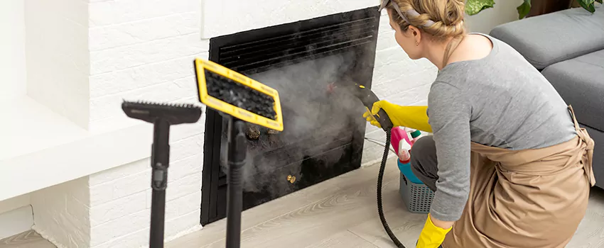 Fireplace Doors Cleaning in Woodstock, Ontario