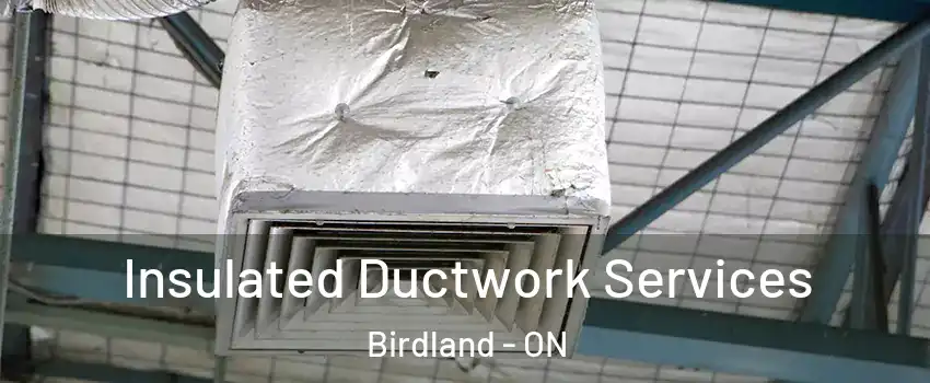  Insulated Ductwork Services Birdland - ON