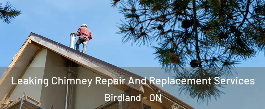  Leaking Chimney Repair And Replacement Services Birdland - ON