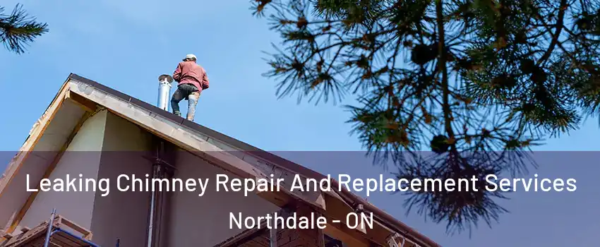  Leaking Chimney Repair And Replacement Services Northdale - ON