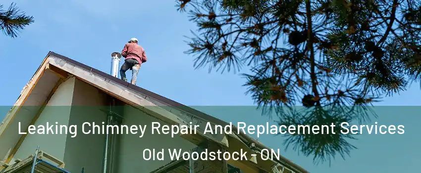  Leaking Chimney Repair And Replacement Services Old Woodstock - ON