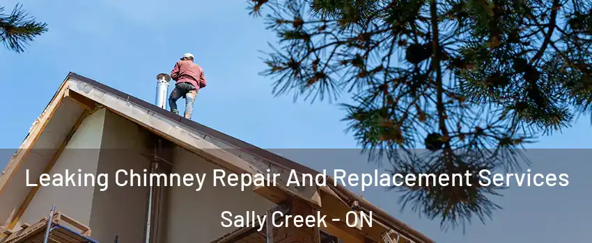 Leaking Chimney Repair And Replacement Services Sally Creek - ON