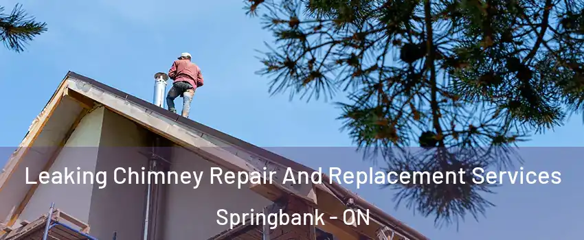  Leaking Chimney Repair And Replacement Services Springbank - ON