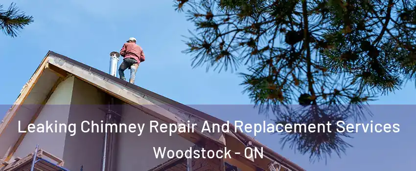  Leaking Chimney Repair And Replacement Services Woodstock - ON