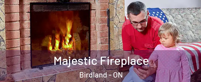  Majestic Fireplace Birdland - ON