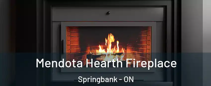 Mendota Hearth Fireplace Springbank - ON