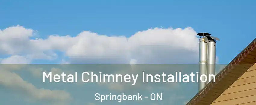  Metal Chimney Installation Springbank - ON