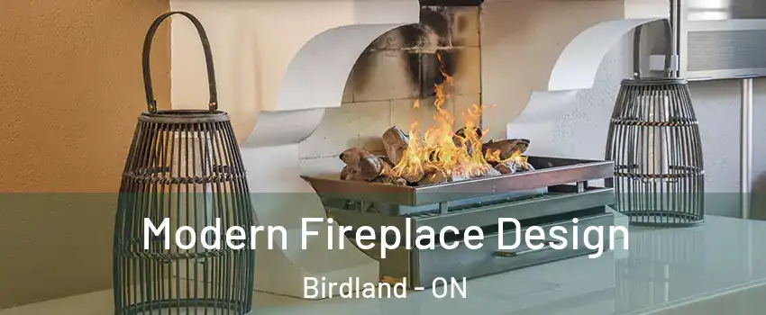  Modern Fireplace Design Birdland - ON