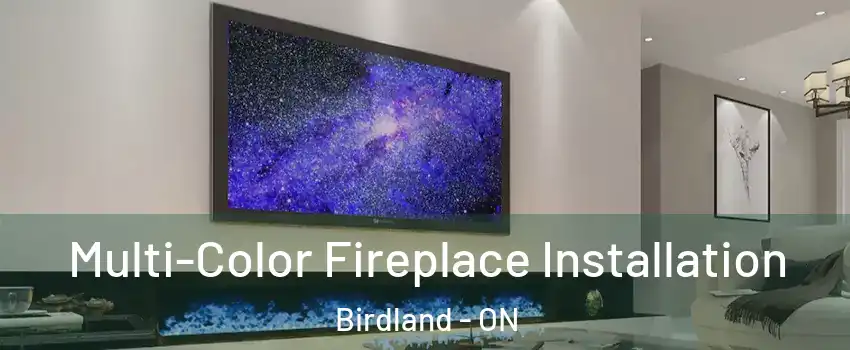  Multi-Color Fireplace Installation Birdland - ON