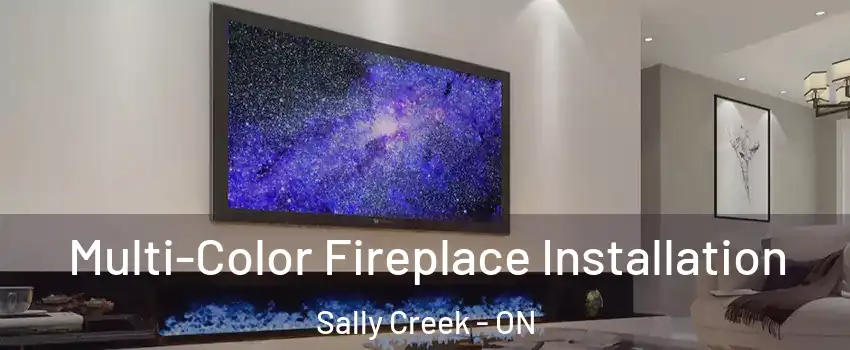  Multi-Color Fireplace Installation Sally Creek - ON