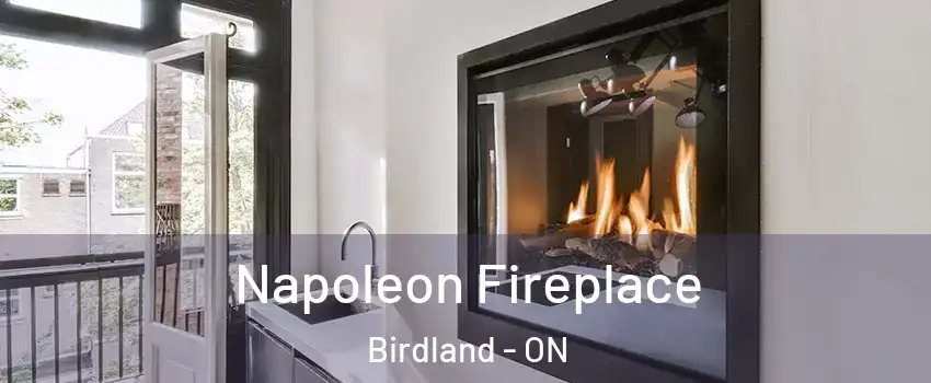  Napoleon Fireplace Birdland - ON
