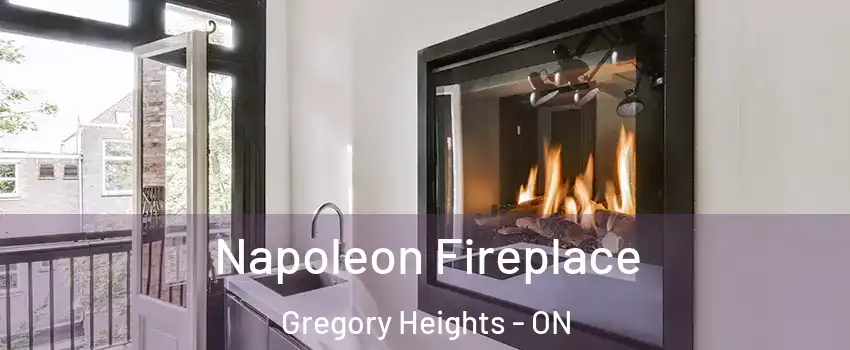  Napoleon Fireplace Gregory Heights - ON