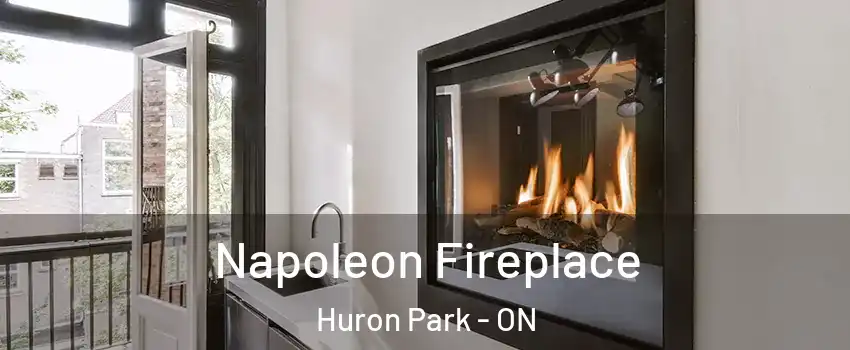  Napoleon Fireplace Huron Park - ON