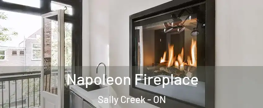  Napoleon Fireplace Sally Creek - ON