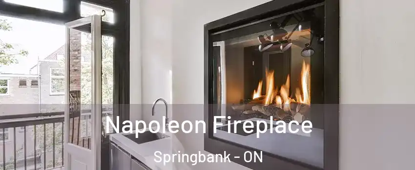  Napoleon Fireplace Springbank - ON