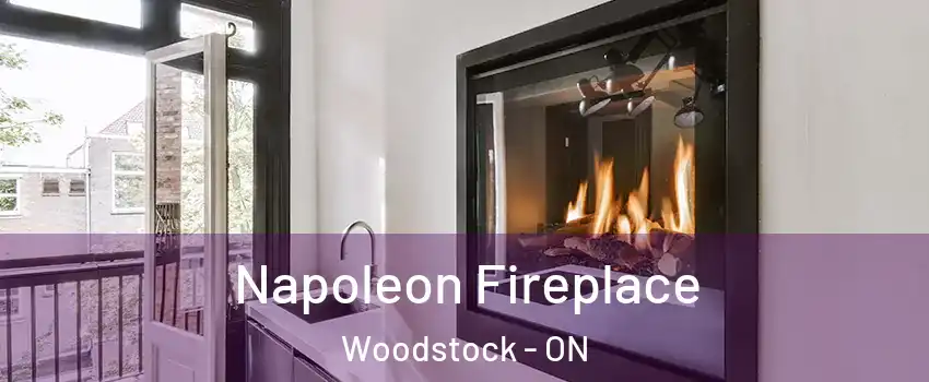  Napoleon Fireplace Woodstock - ON