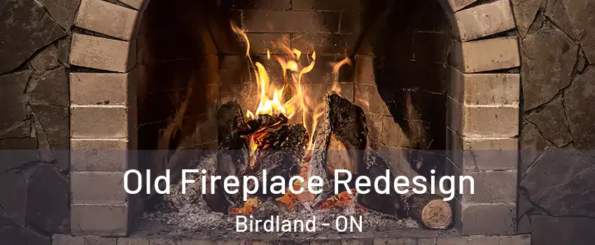  Old Fireplace Redesign Birdland - ON
