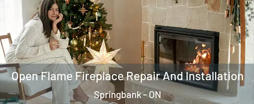  Open Flame Fireplace Repair And Installation Springbank - ON