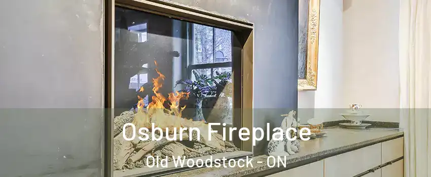  Osburn Fireplace Old Woodstock - ON