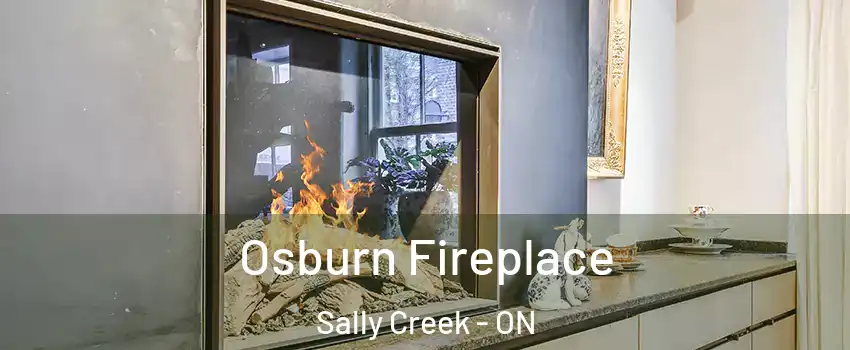  Osburn Fireplace Sally Creek - ON