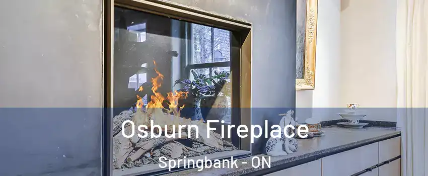  Osburn Fireplace Springbank - ON