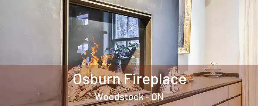  Osburn Fireplace Woodstock - ON