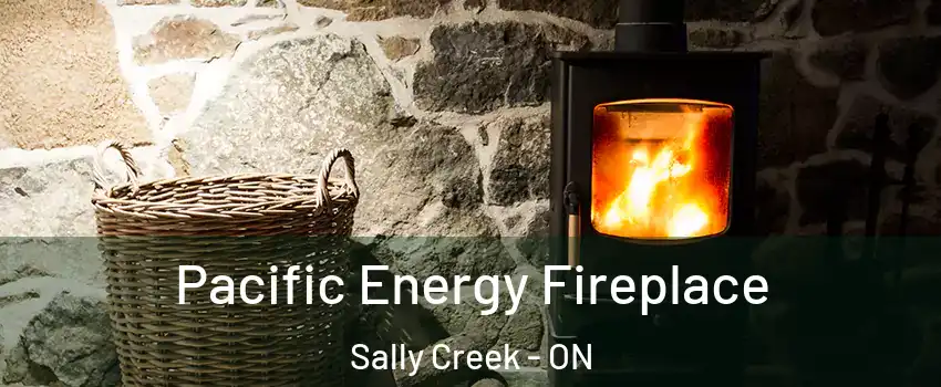  Pacific Energy Fireplace Sally Creek - ON