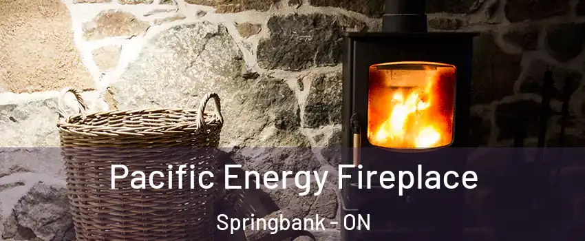  Pacific Energy Fireplace Springbank - ON