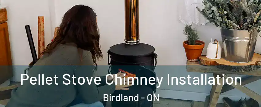  Pellet Stove Chimney Installation Birdland - ON