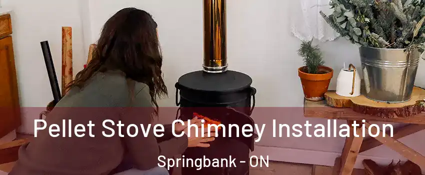  Pellet Stove Chimney Installation Springbank - ON
