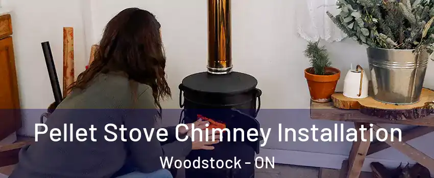  Pellet Stove Chimney Installation Woodstock - ON