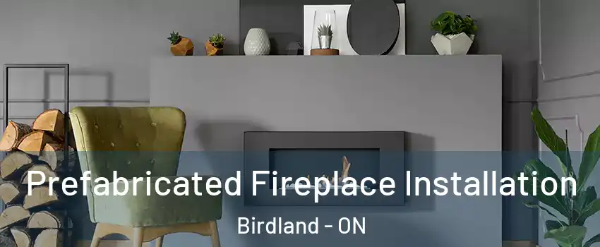  Prefabricated Fireplace Installation Birdland - ON