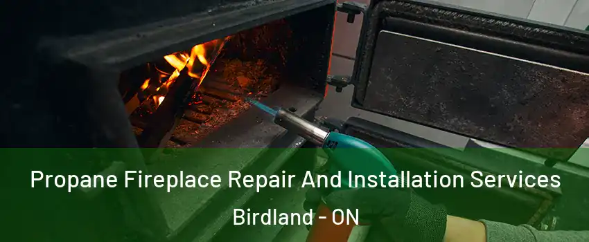 Propane Fireplace Repair And Installation Services Birdland - ON