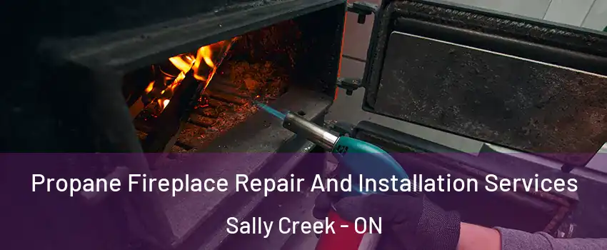 Propane Fireplace Repair And Installation Services Sally Creek - ON