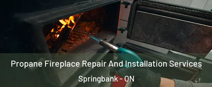 Propane Fireplace Repair And Installation Services Springbank - ON