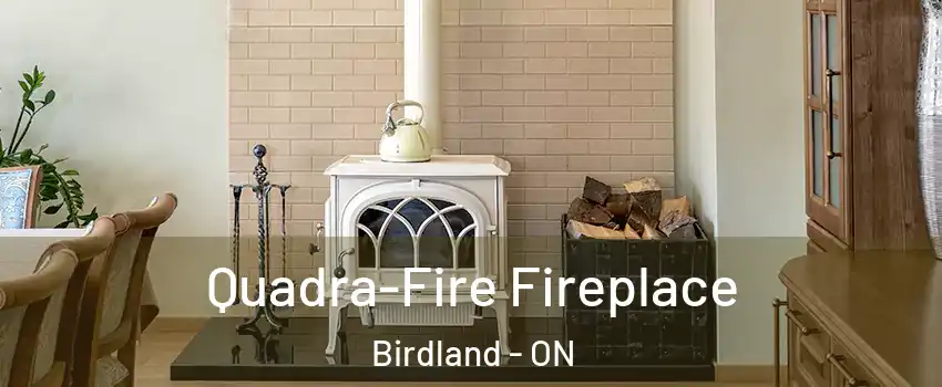  Quadra-Fire Fireplace Birdland - ON