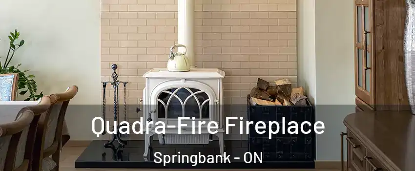  Quadra-Fire Fireplace Springbank - ON