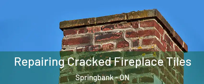  Repairing Cracked Fireplace Tiles Springbank - ON