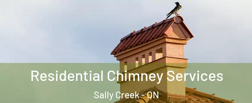  Residential Chimney Services Sally Creek - ON